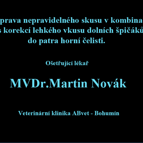 7 MVDr.Martin Novák Veterinární klinika ABvet-Bohumín.png