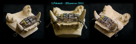 52 Veterinární stomatologie-ortodoncie-Veterinary Dentistry-Orthodontics-Ветеринарная стоматология.p