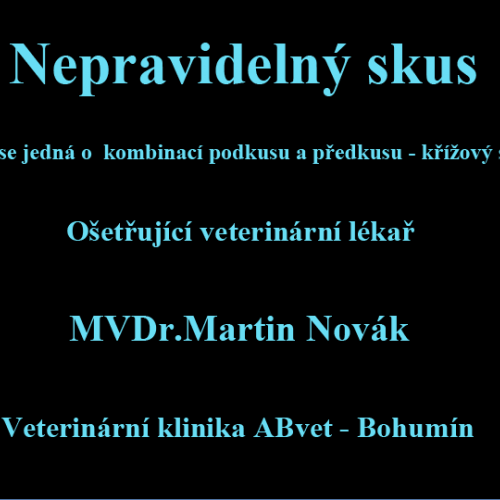 10 MVDr.Martin Novák Veterinární klinika ABvet-Bohumín.png